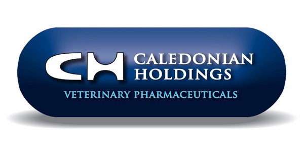 Caledonian Holdings