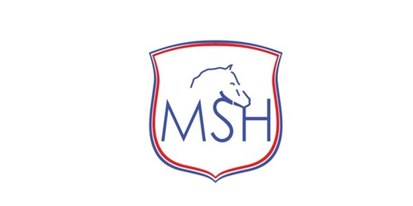 Matawhio Sport Horses