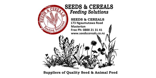 Seeds and Cereals