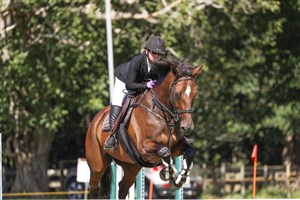 Competitor picture for Lingo EWNZ