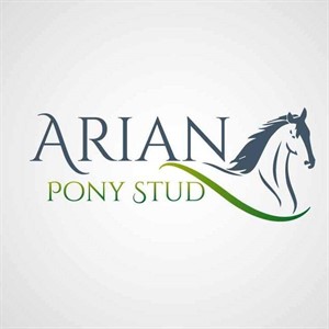 Competitor picture for Arian Pony Stud