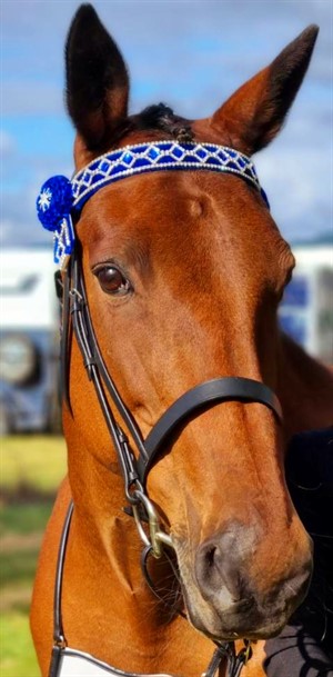 Competitor picture for That's my girl