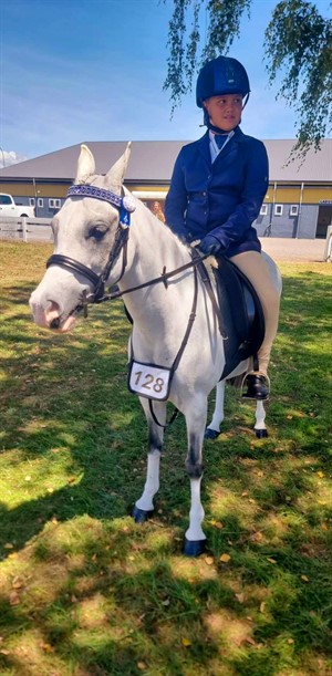 Competitor picture for Misty Lea Jake