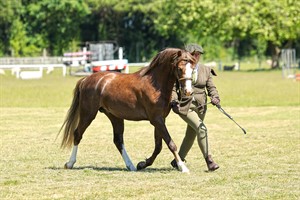 Competitor picture for Robyn Hill