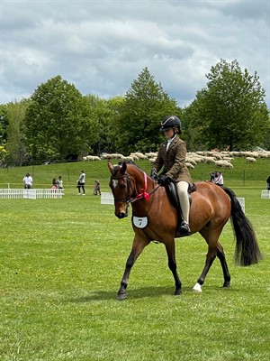 Competitor picture for Lest We Forget