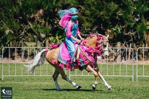 Competitor picture for corivale kodachrome