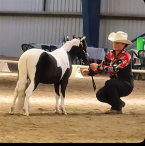 Competitor picture for Tumblestones Ignite My Fire
