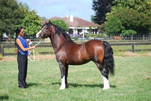 Competitor picture for Barnon Reflections