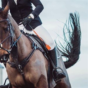Competitor picture for La Boulaye