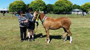 Competitor picture for Rainbow Valley Royal Rosette 