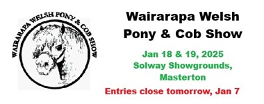 Wairarapa Welsh Pony & Cob Show 2025