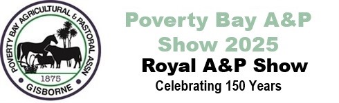 333 - Open Pony 90cm Two phase Art 274 1.5.3 - Poverty Bay A&P Show ...