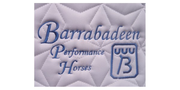 Barrabadeen Performance Horses