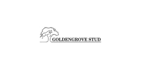 Goldengrove Stud