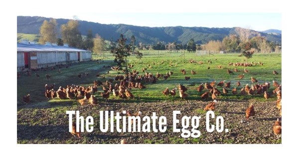 The Ultimate Egg Co