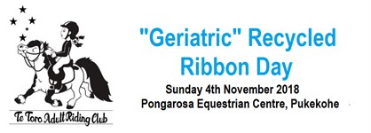Geriatric Recycled Ribbon Day