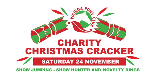 Charity Christmas Cracker