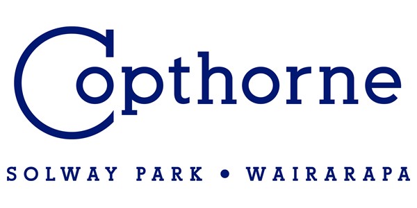 Copthorne Solway Park