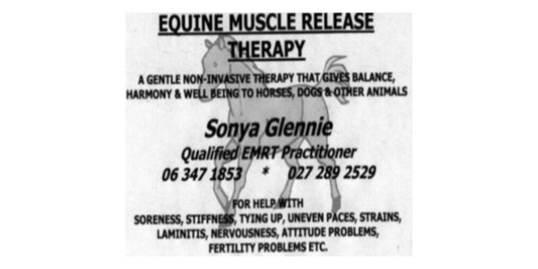 Sonya Glennie Equine Services