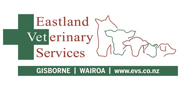 Eastland Vets Services