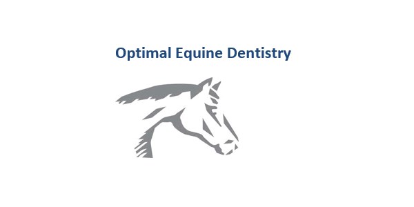 Optimal Equine Dentistry