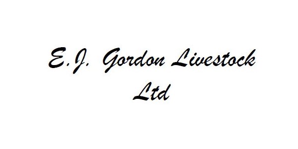 E. J. Gordon Livestock