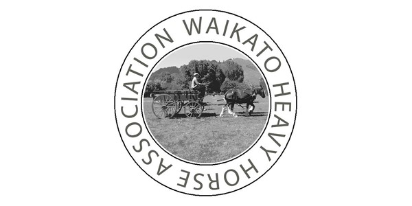 Waikato Heavy Horse Association