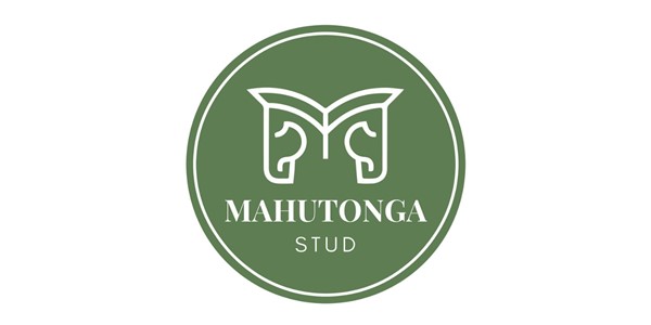 Mahutonga Stud