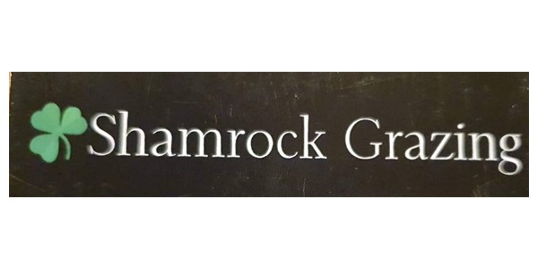 Shamrock Grazing 
