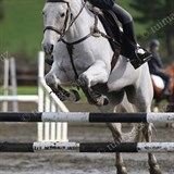 Pony 1.05m