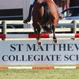 St Matthews Equestrian Day