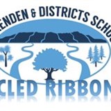 Sherenden School Recycled Ribbon Day
